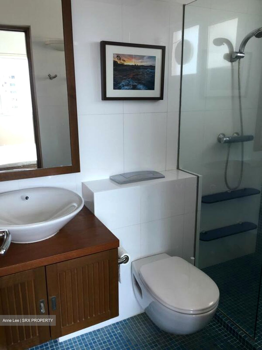 Laguna Park (D15), Apartment #498627561